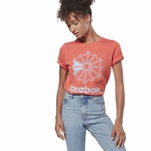 Reebok Classic Big Logo Graphic T Shirt Damen - Rosa - DE 318-VPH